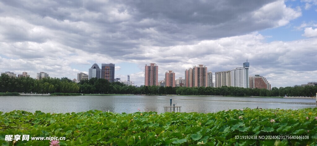 公园风景 