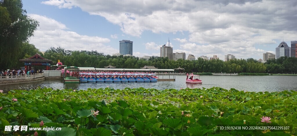 公园风景  
