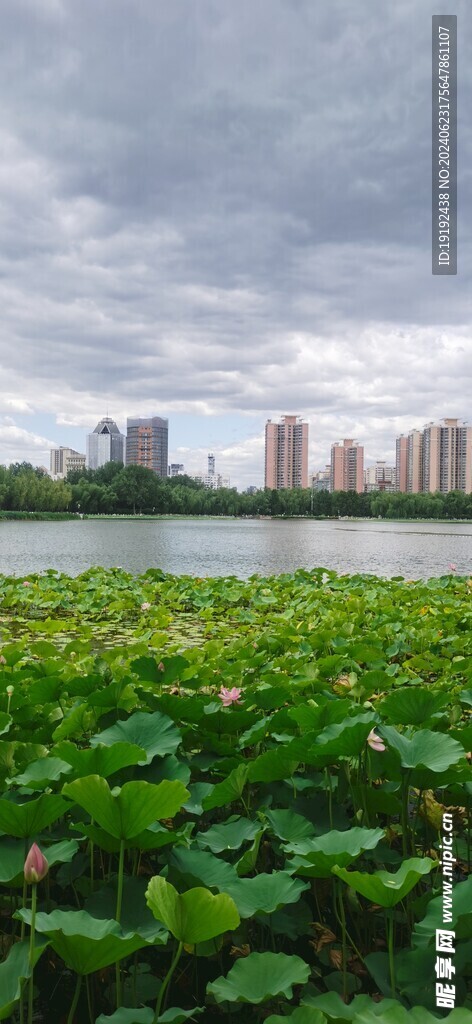 公园风景  
