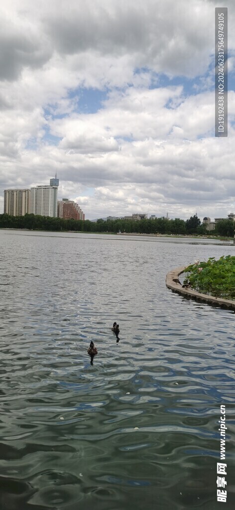 公园风景  