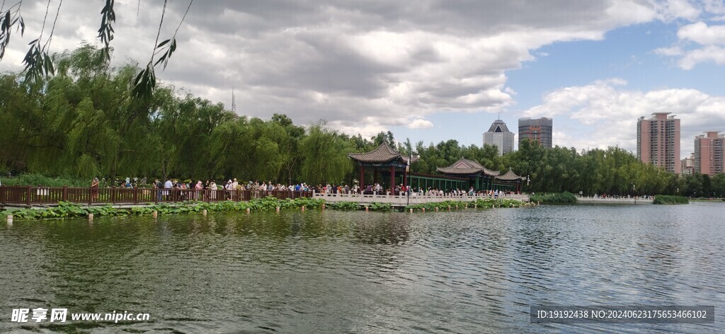 公园风景  