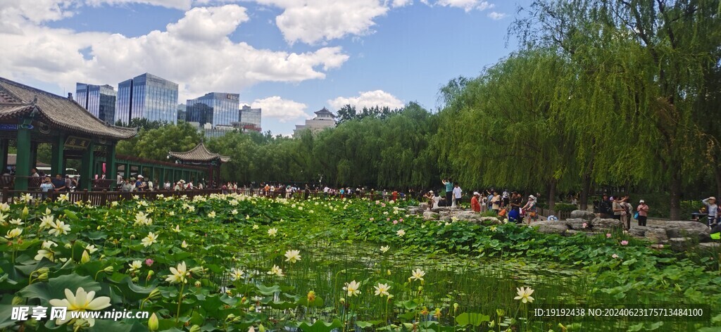公园风景  