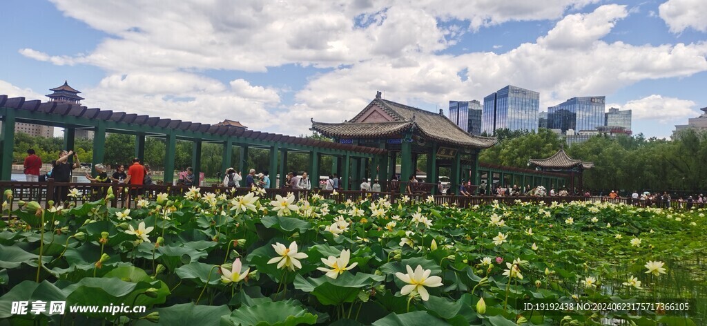 公园风景 