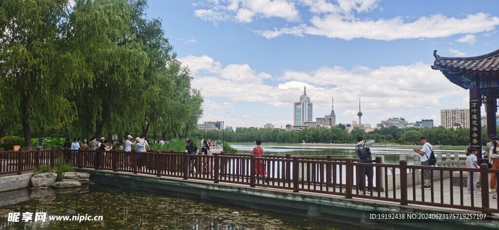 公园风景  