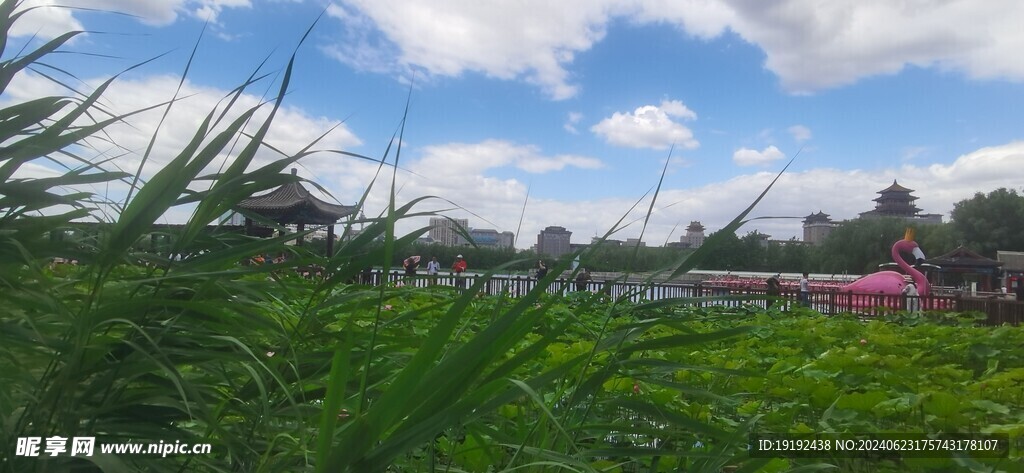 公园风景 