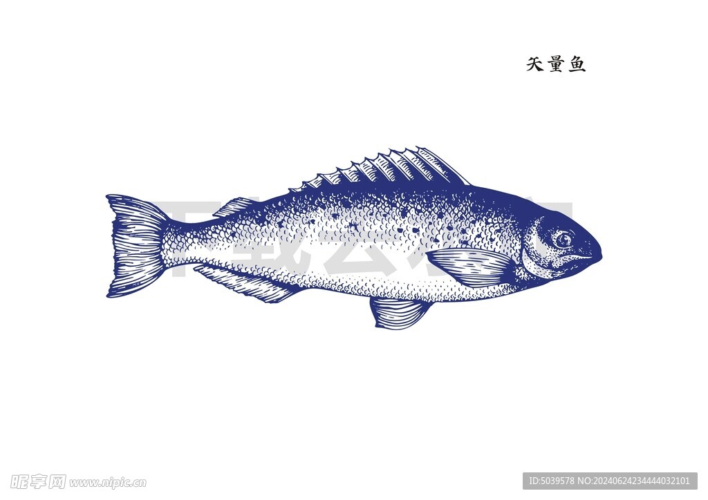 矢量鱼