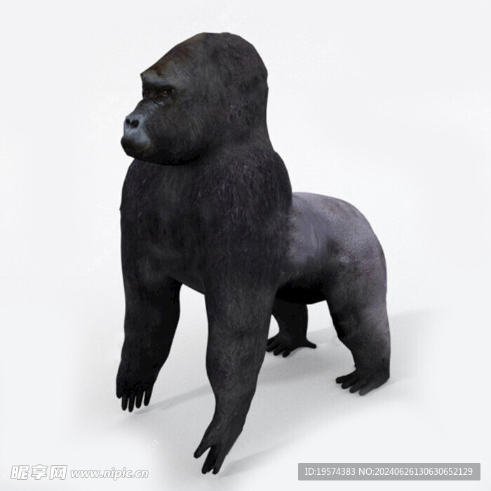 C4D模型 猩猩