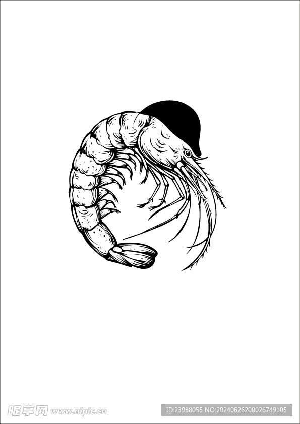 虾插画