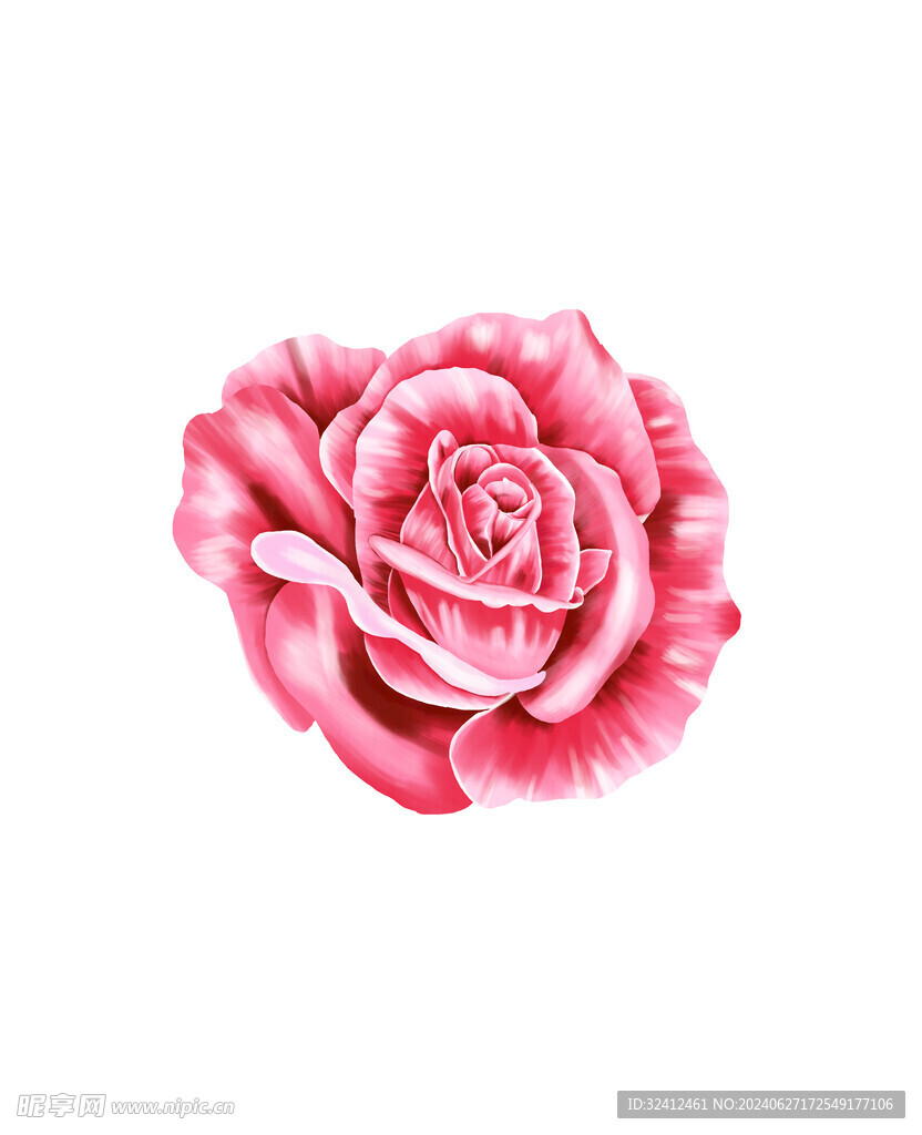 玫瑰花