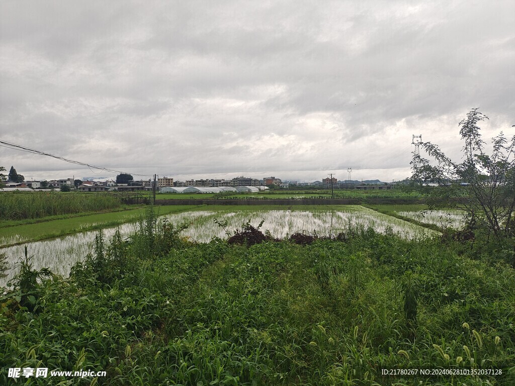 乡村田野