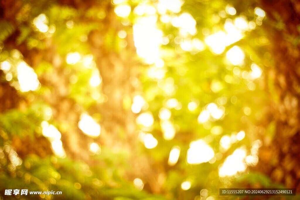 多彩光韵光斑夜空背景