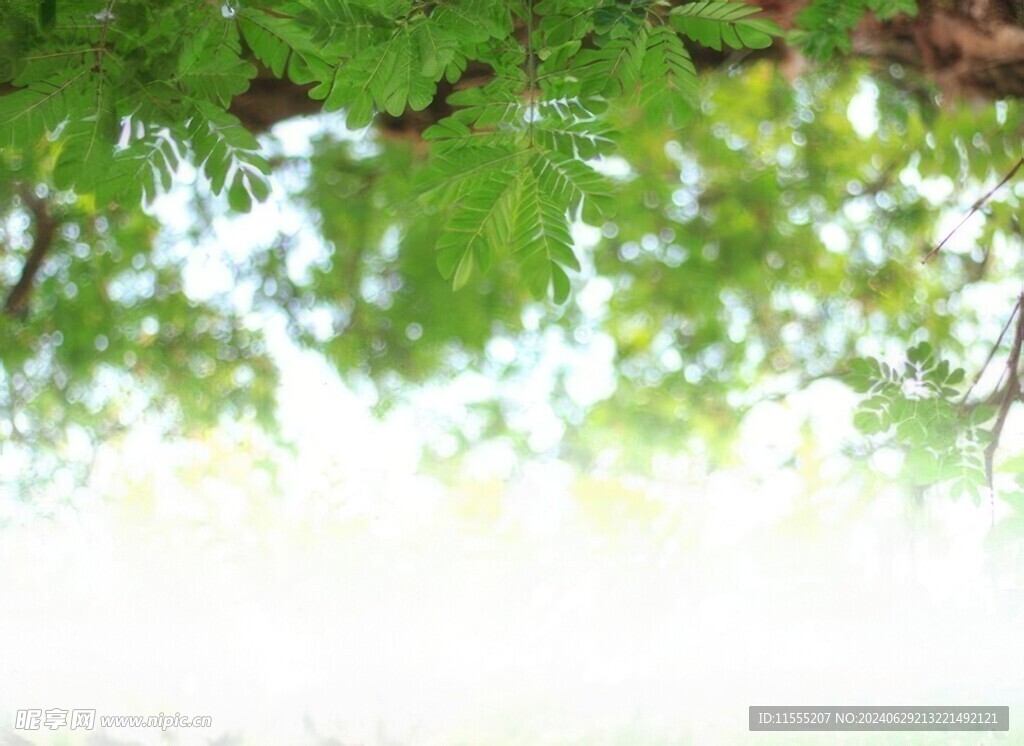 多彩光韵光斑夜空背景