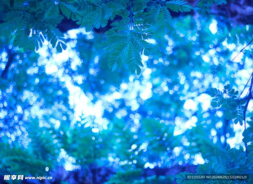 多彩光韵光斑夜空背景