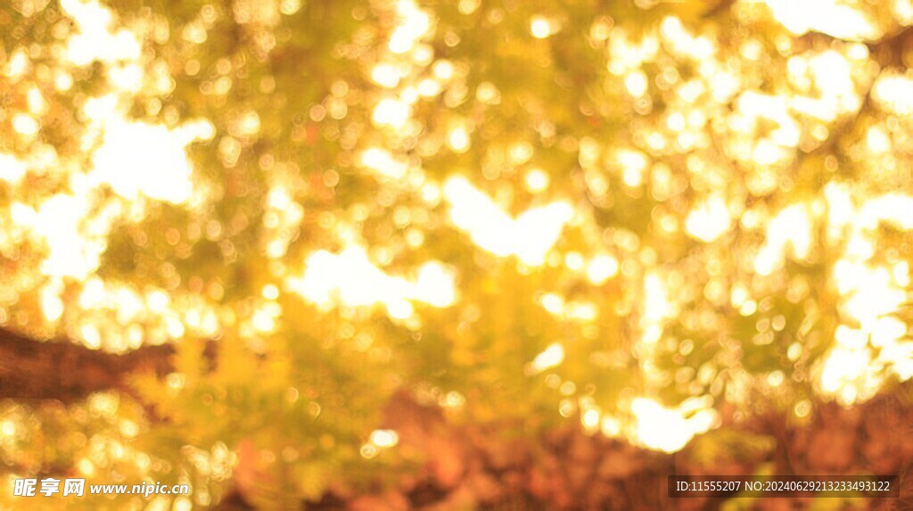 多彩光韵光斑夜空背景