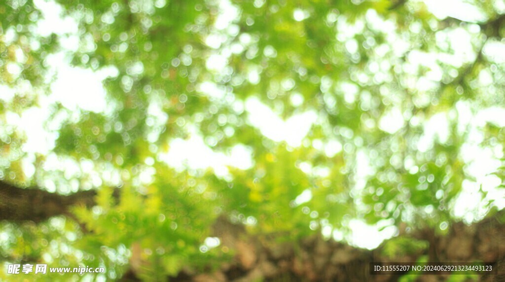 多彩光韵光斑夜空背景