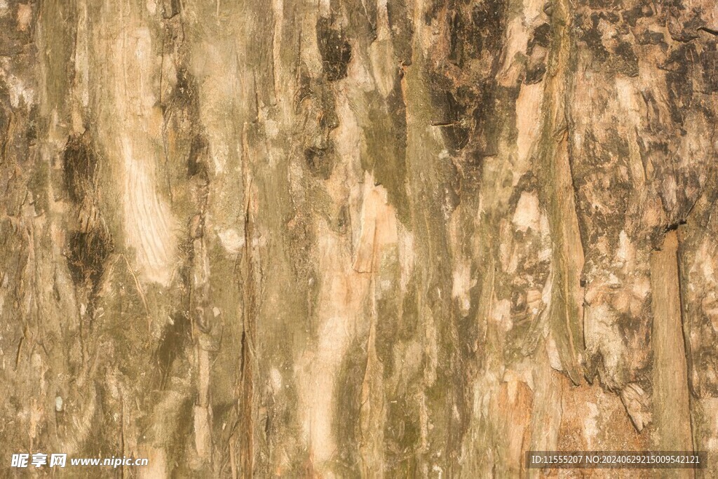 木板木纹背景纹理花纹素材