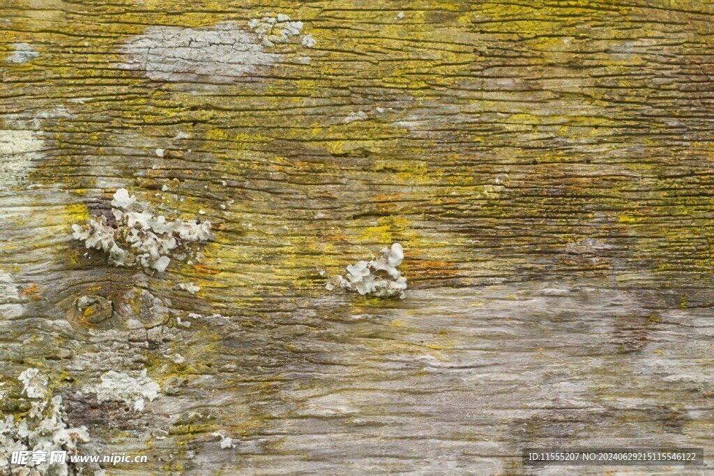 木板木纹背景纹理花纹素材