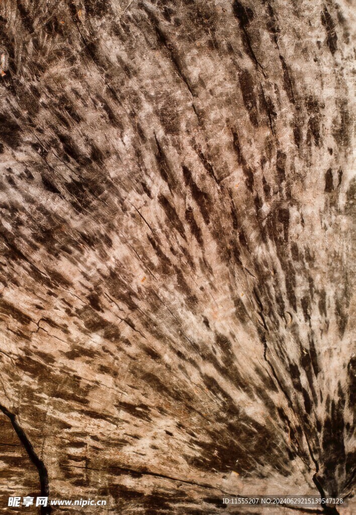 木板木纹背景纹理花纹素材