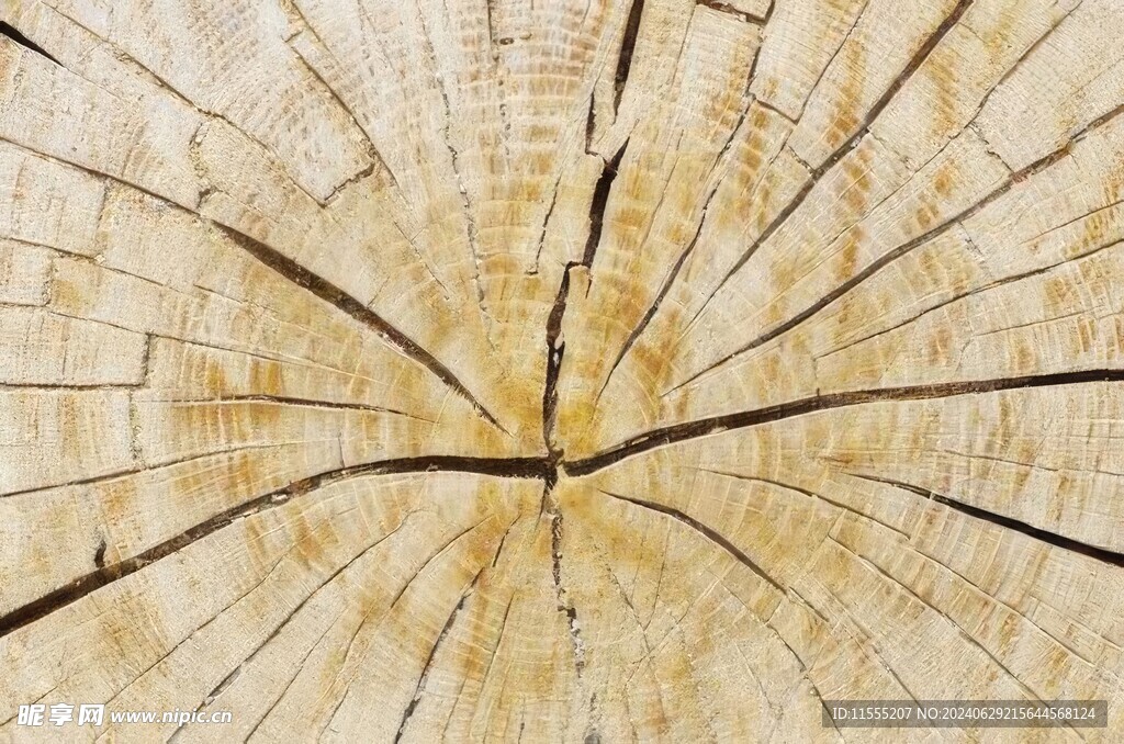 木板木纹背景纹理花纹素材