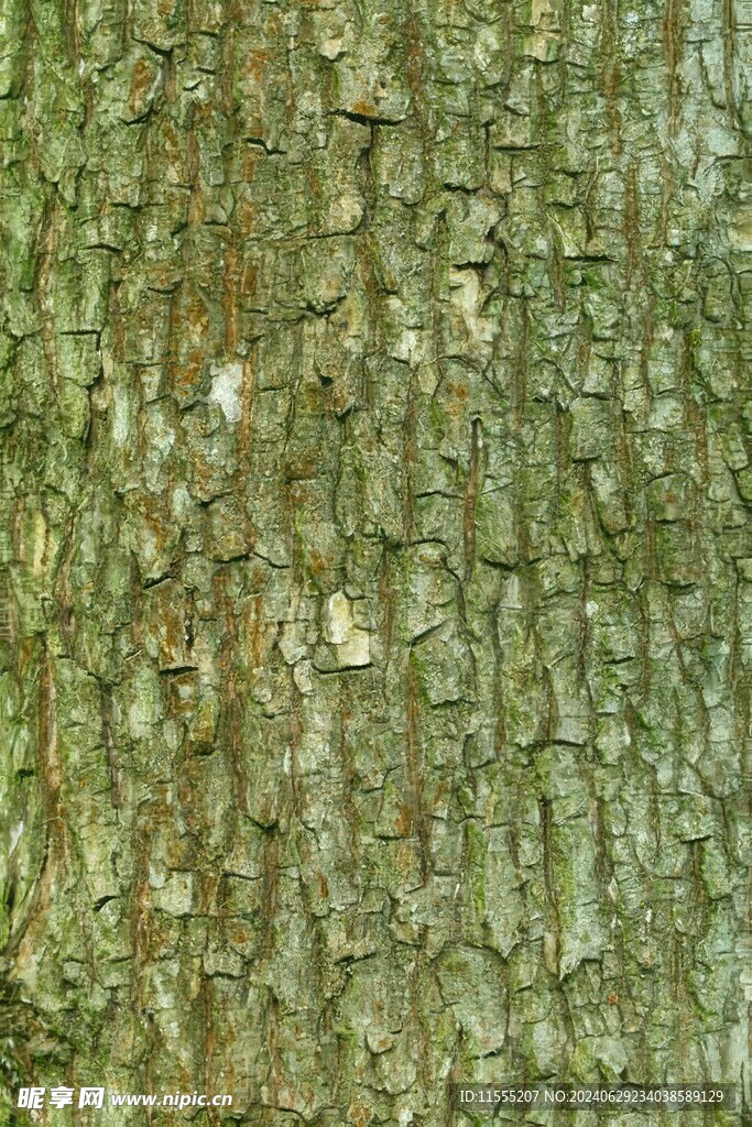 木板木纹背景纹理花纹素材