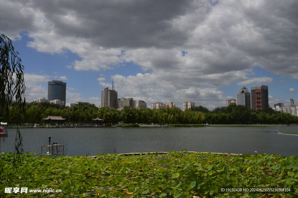 公园风景 