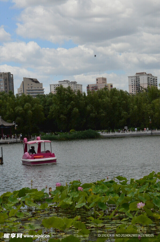 公园风景 