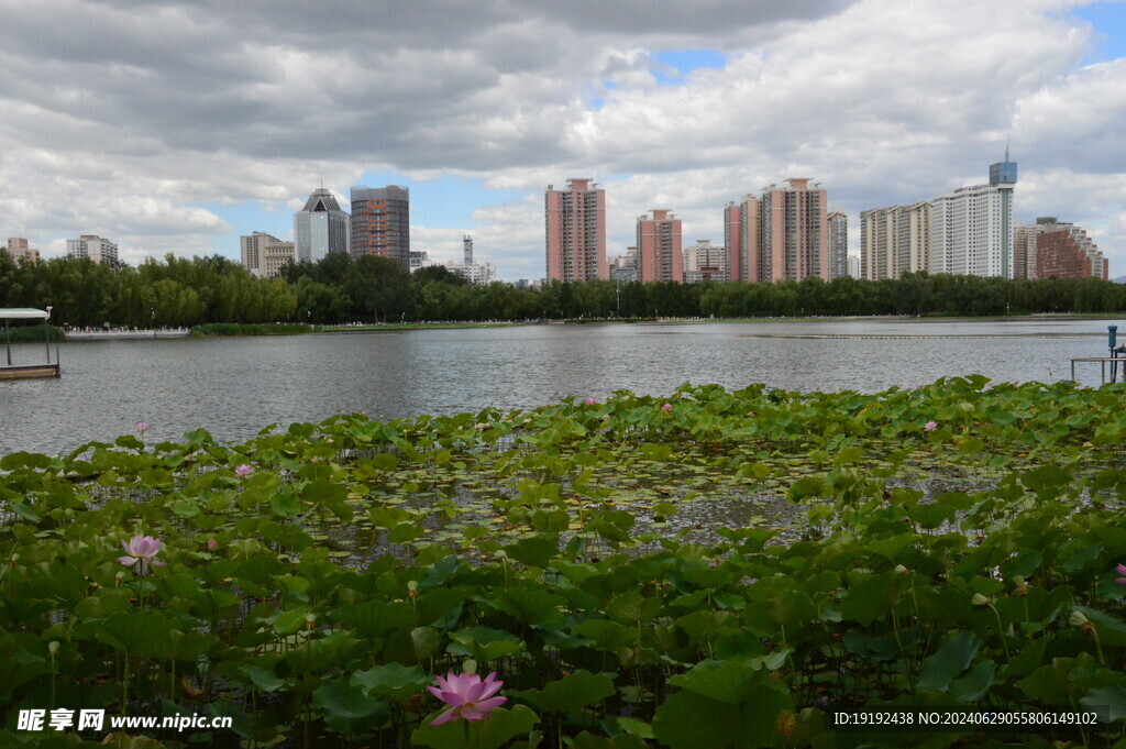 公园风景  