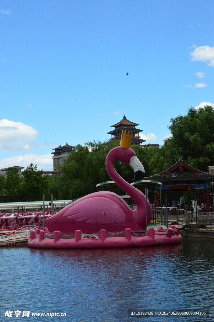 公园风景 