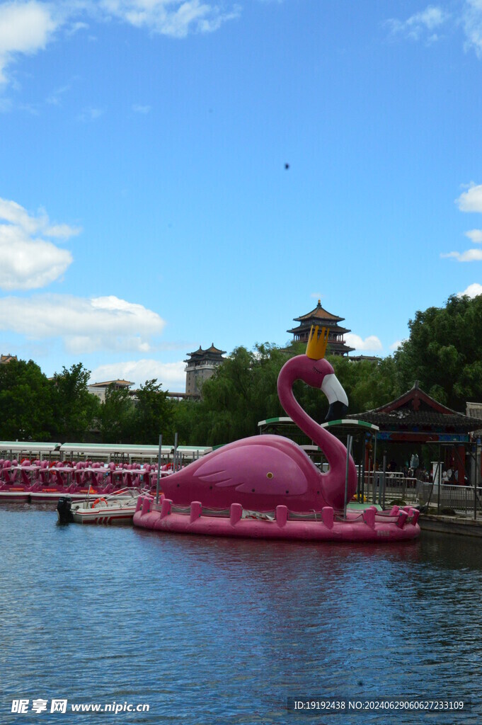 公园风景 