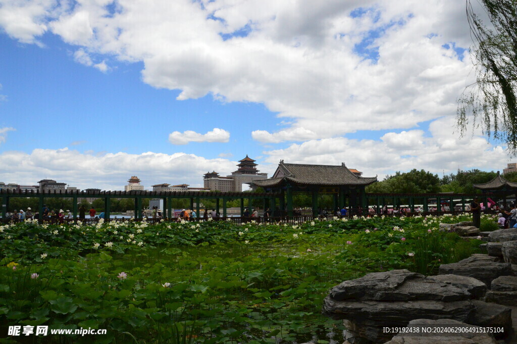 公园风景 