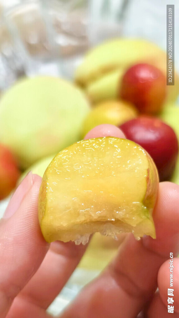 咬一口脆李子酸甜李子