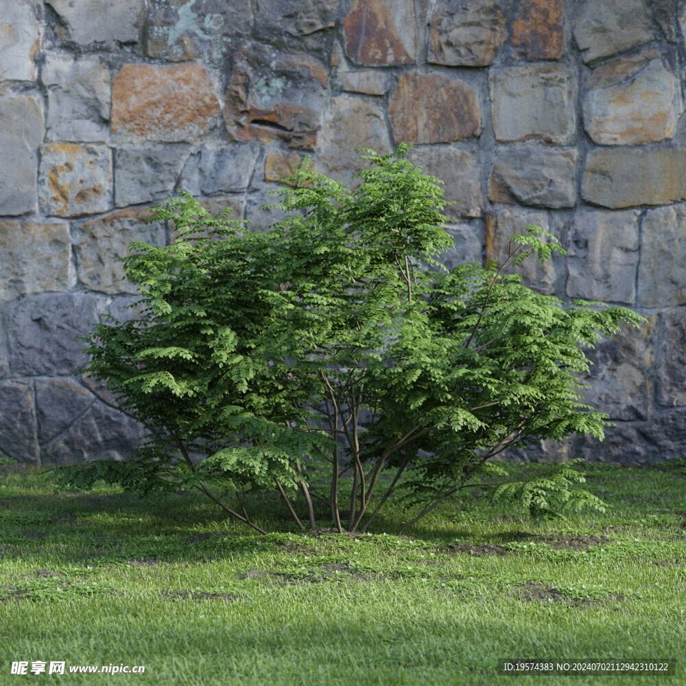 C4D模型 绿色植物