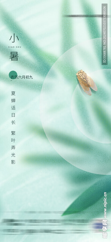 小暑海报展架画面