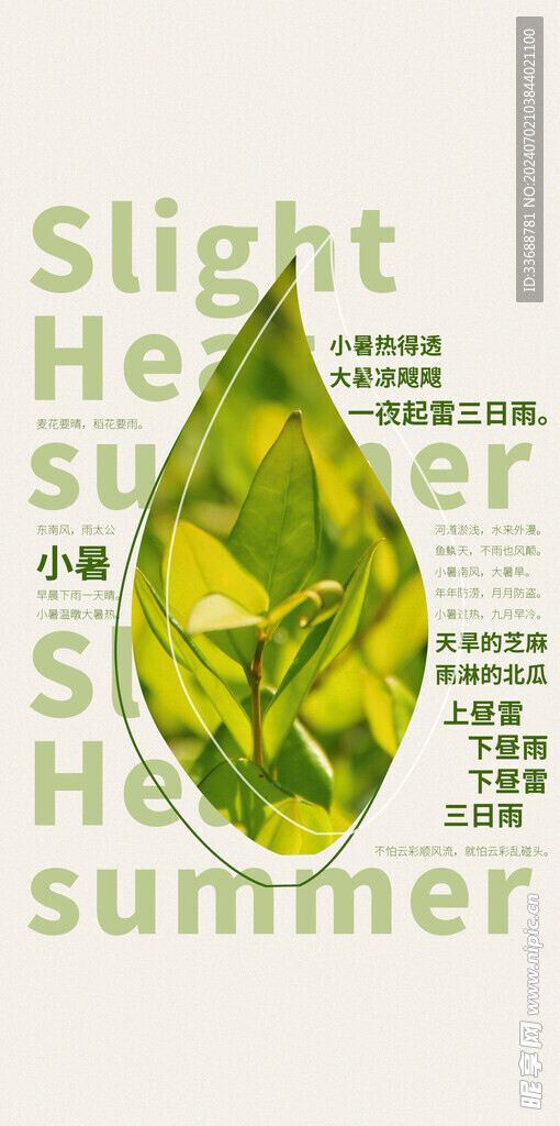 小暑海报展架画面