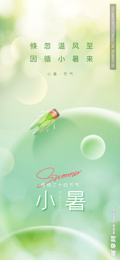 小暑海报展架画面