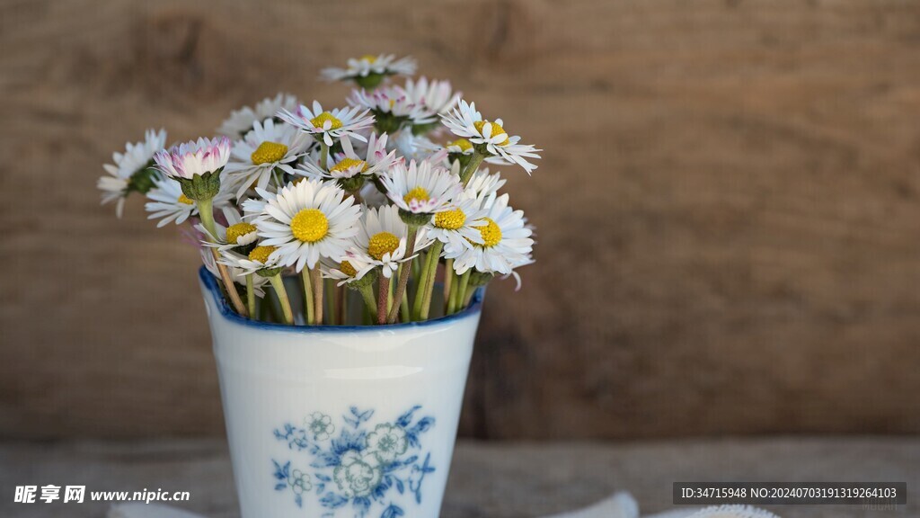 花盆中的小野花