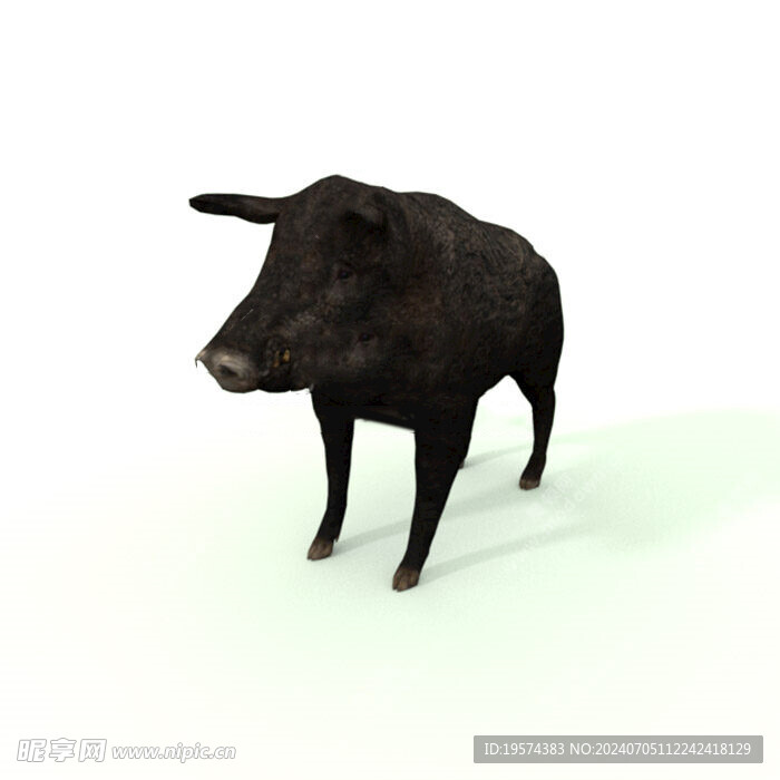 C4D模型 猪