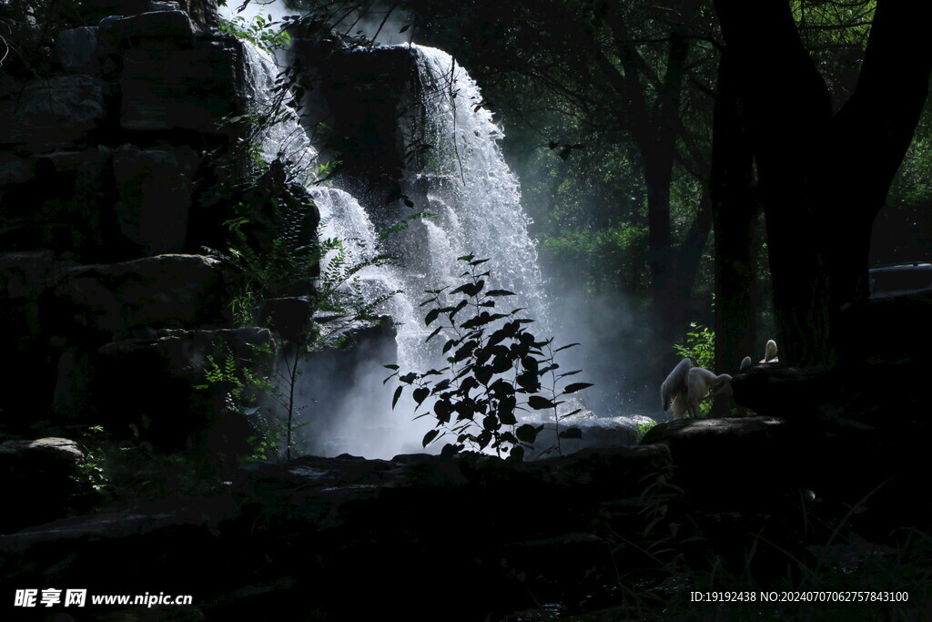  动物园风景 