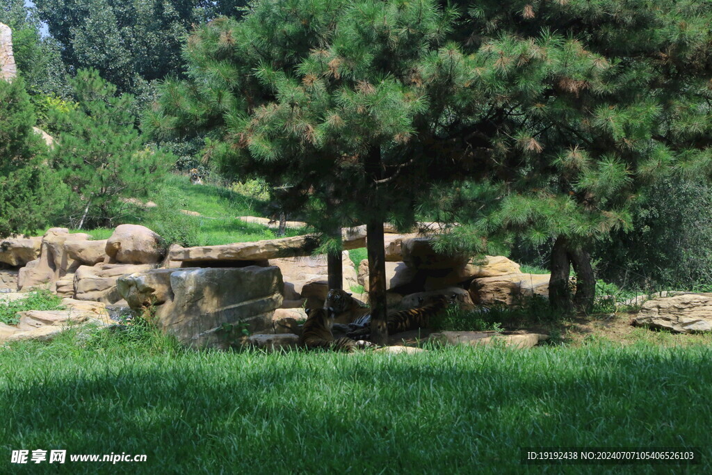  动物园风景  
