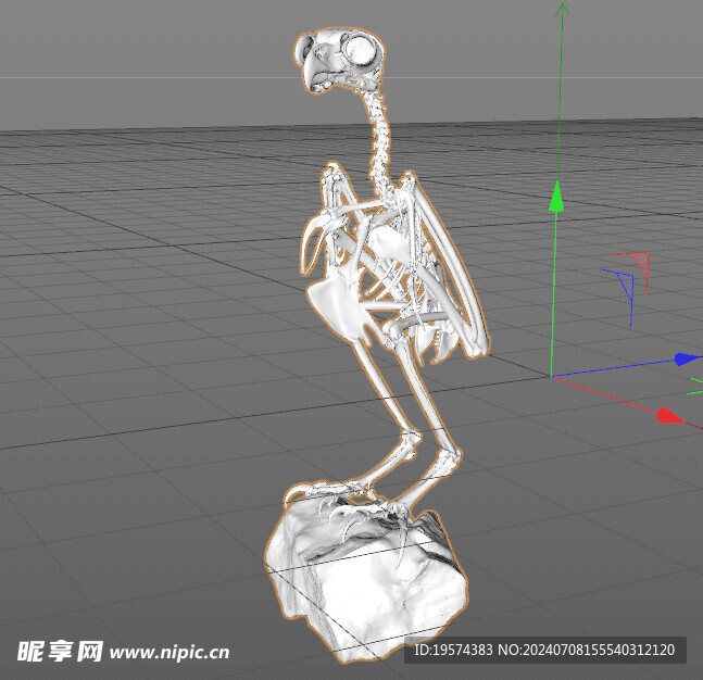 C4D模型 白骨