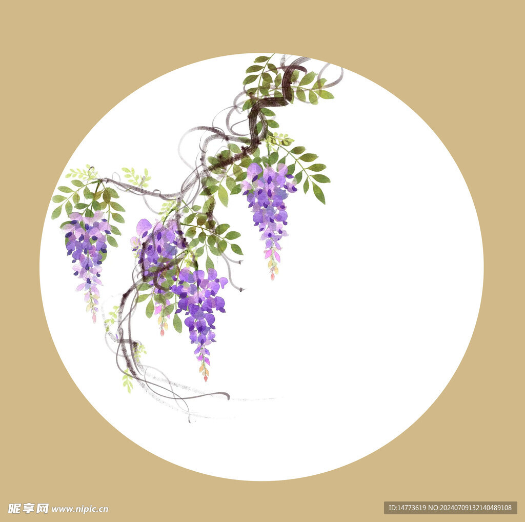 国画工笔紫藤花卉