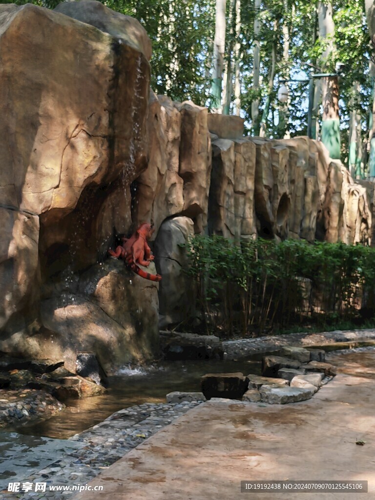 动物园风景  