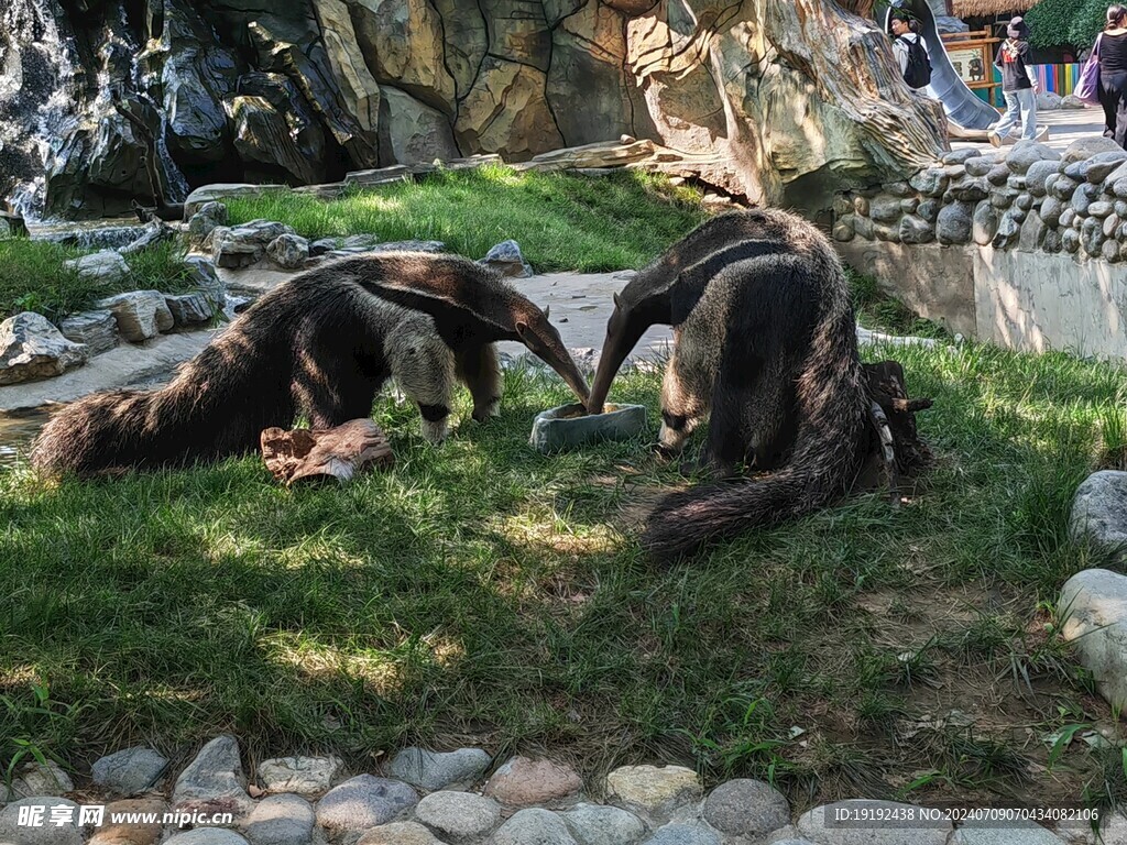  动物园风景 