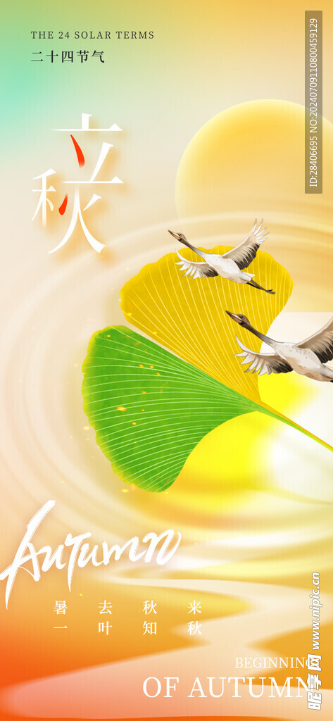 立秋海报