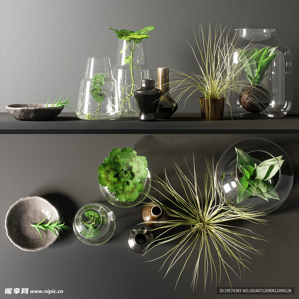 C4D模型 绿色植物