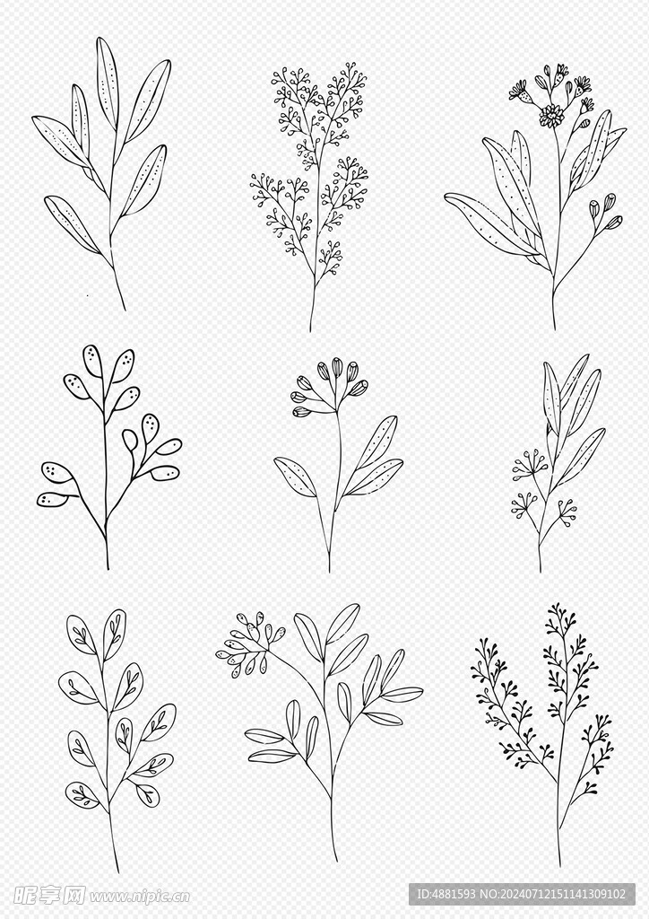 矢量花纹