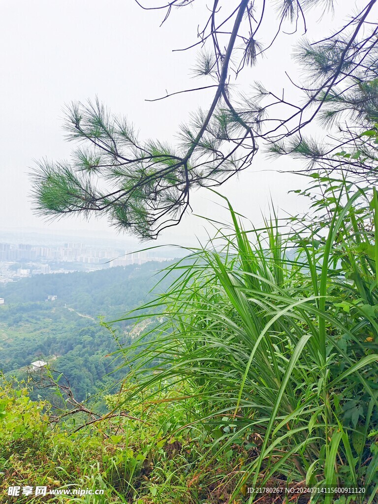 登高望远