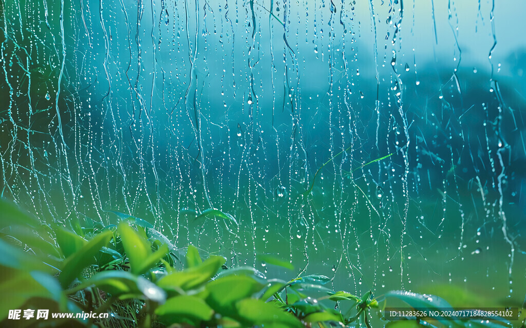 春雨