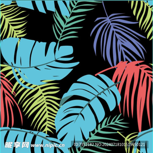 彩色叶子  几何 热带植物