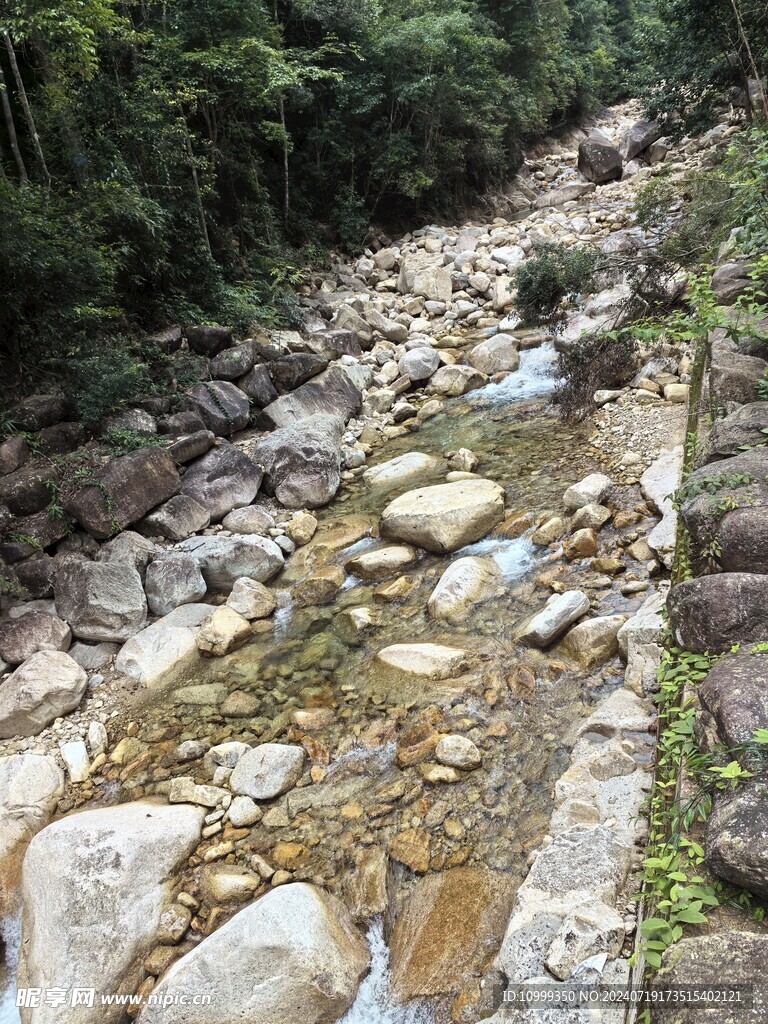 森林小溪 